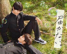 色综合综合海报剧照