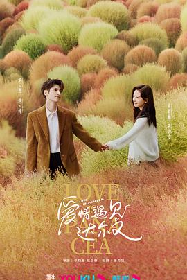 熊猫警察海报剧照