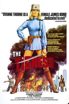 渡江突击队海报剧照